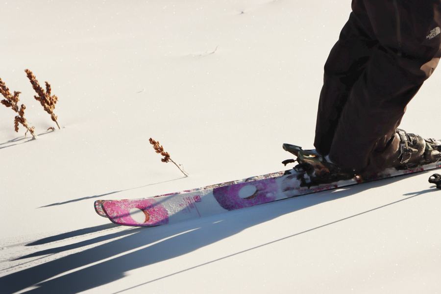 Skis roses dans la neige poudreuse, à côté d’herbes sèches